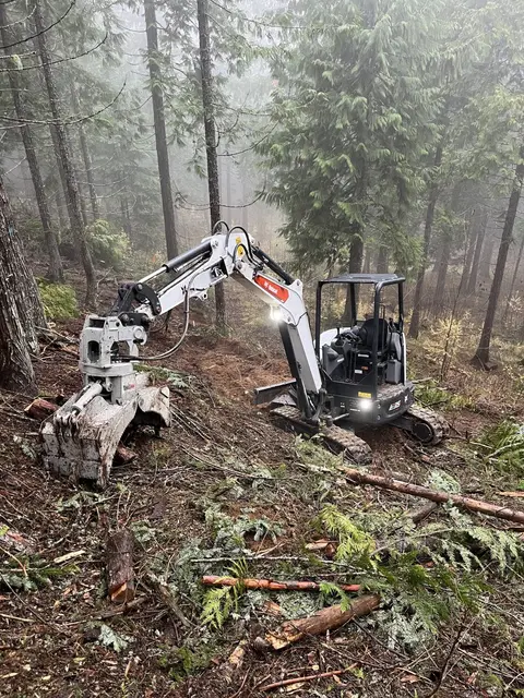 Fuel reduction work in a misty conifer stand with understory cleared